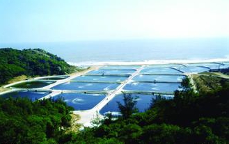 平板陶瓷膜水处理技术为海水养殖业带来