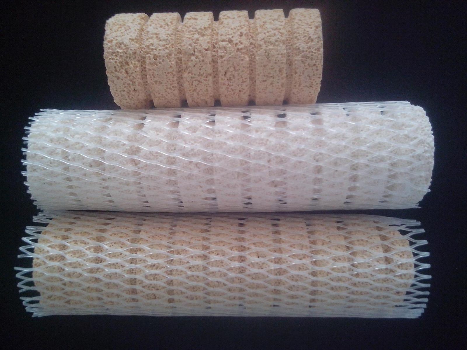 Y-5 螺旋状细菌屋