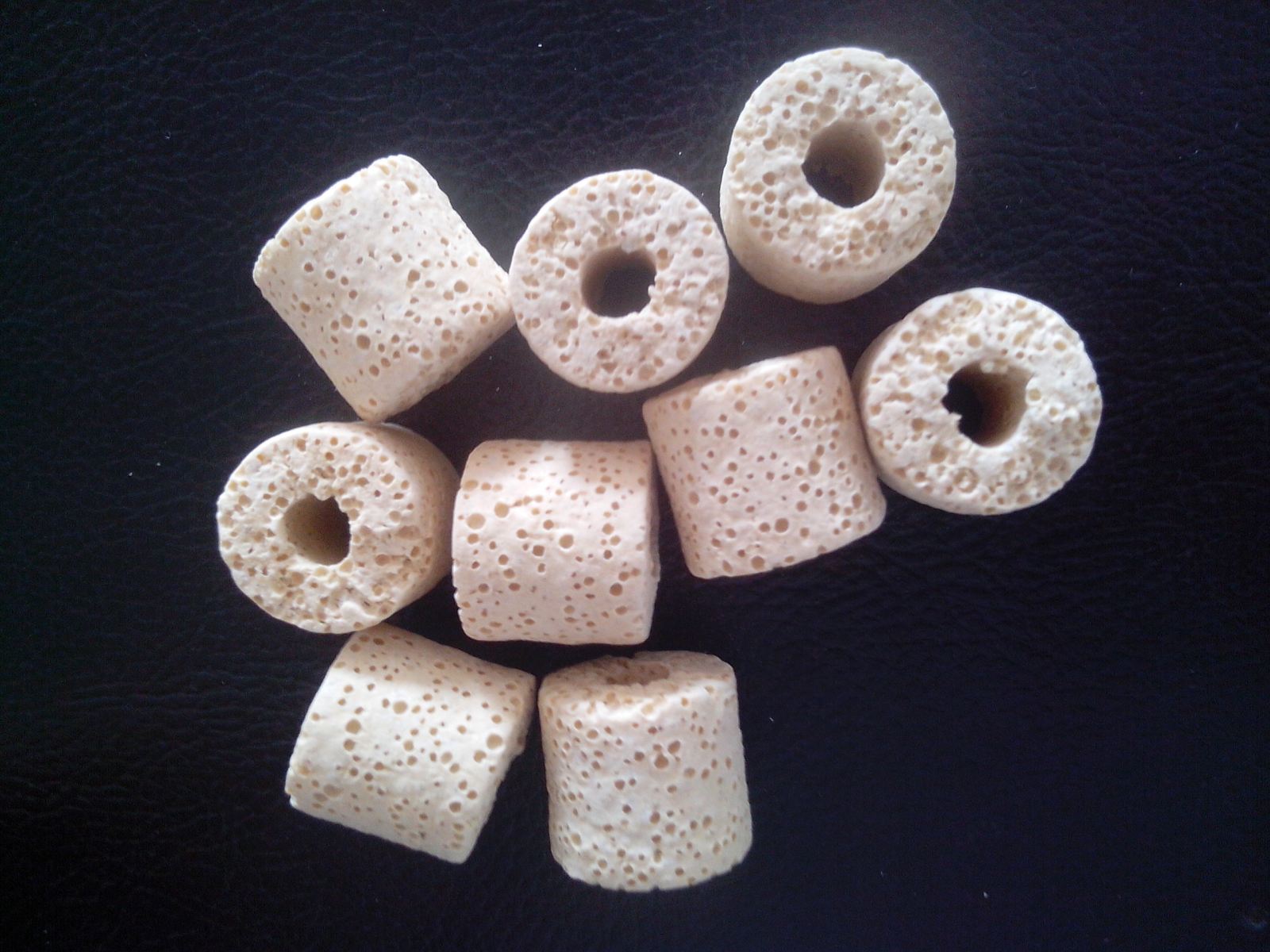 X-11 小迷你细菌屋