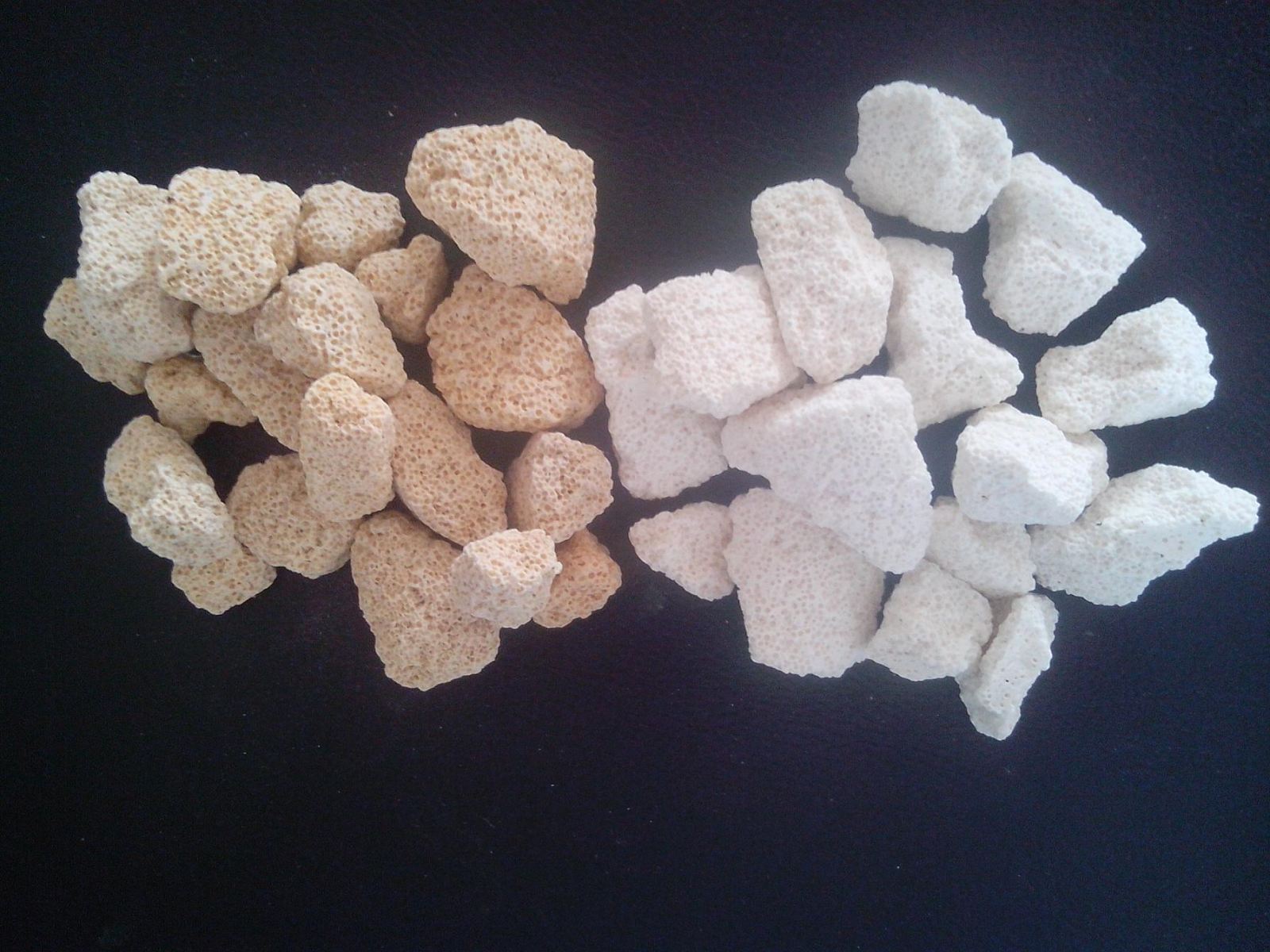 Y-8 unregular bacteria house