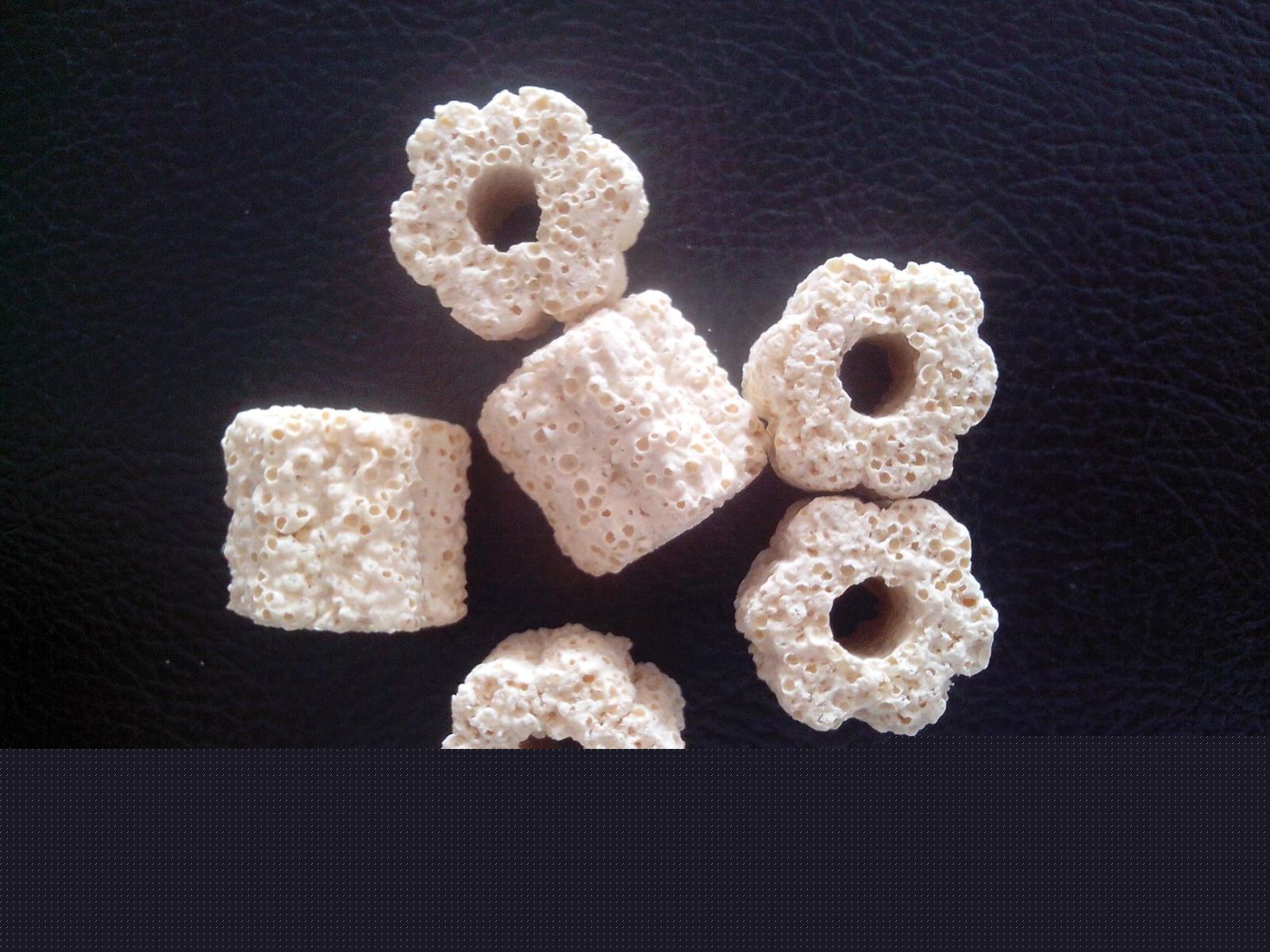 X-10 small cinqfoil bacteria house