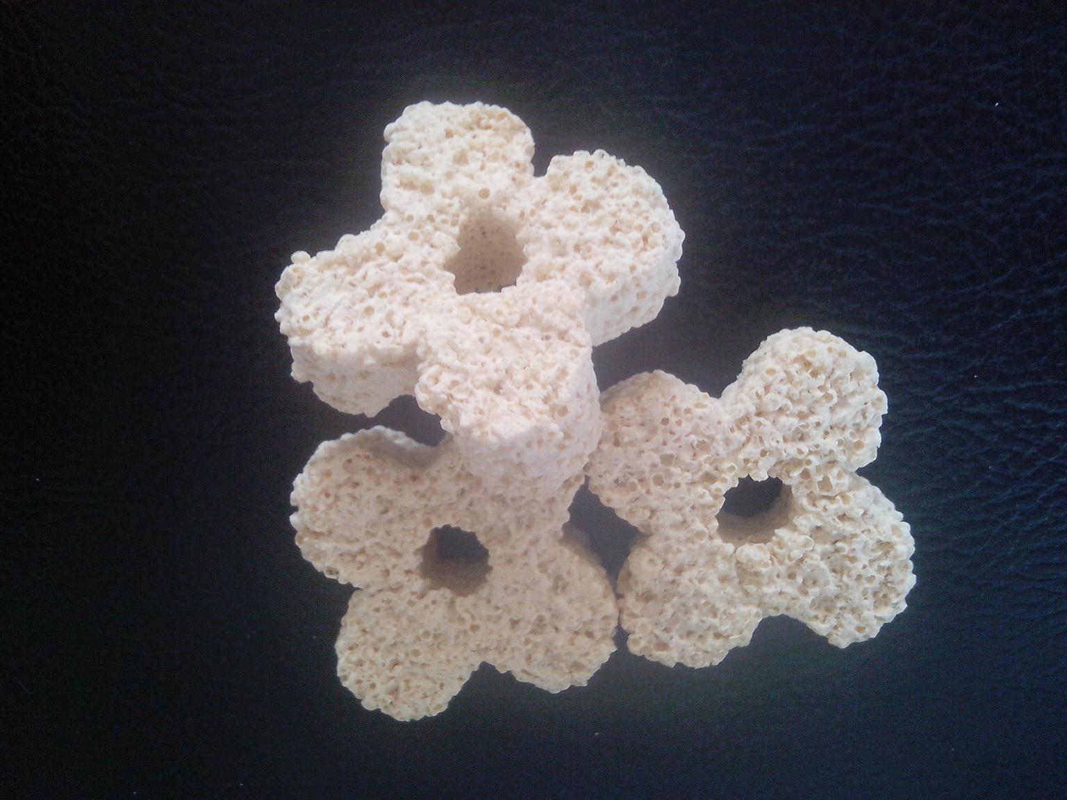 Y-4 big cinqfoil bacteria house