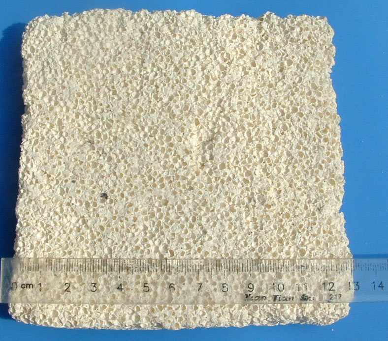 Y-7 cuboid bacteria house